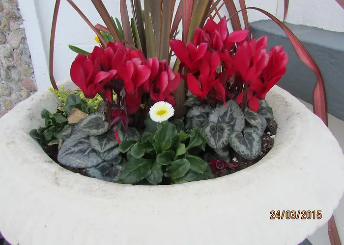 Bay View Guest House And B&B 3*