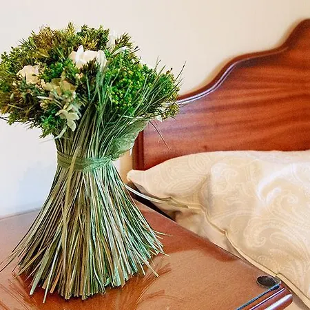 招待所 湾景住宿加早餐旅馆 3*