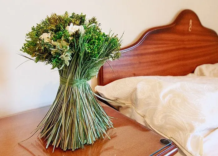 Gæstehus Bay View Guest House And B&B 3*